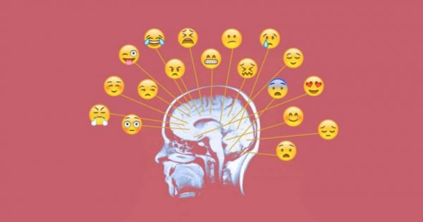 A human brain with emoticons: emotional awareness.