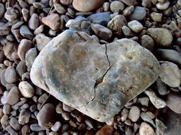 A heart-shaped rock.