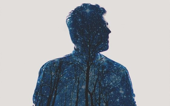 man and trees