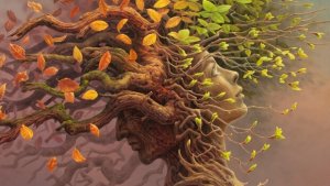 Cognitive Reserve: A Decisive Step Forward in the Evolution of the Brain