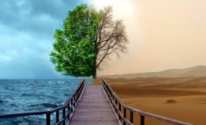 4 Keys of Gestalt Therapy to Treat Depression