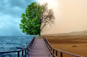 Path with sea and land