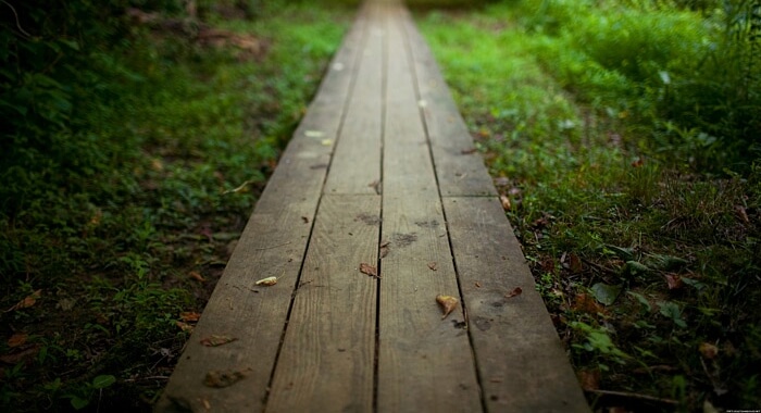 A wooden path in the woods.