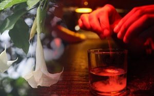 Scopolamine or "The Devil's Breath", the Drug that Nullifies Your Will