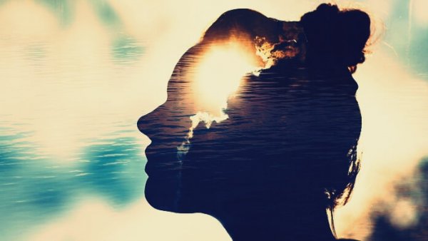 Magnetic minds.