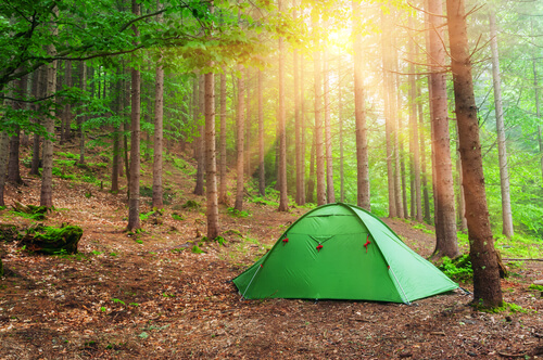 tent in woods