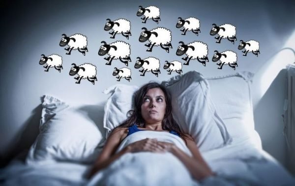 counting sheep