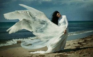 How to Heal the Emotional Wounds in our Souls