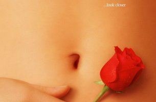 American beauty cover