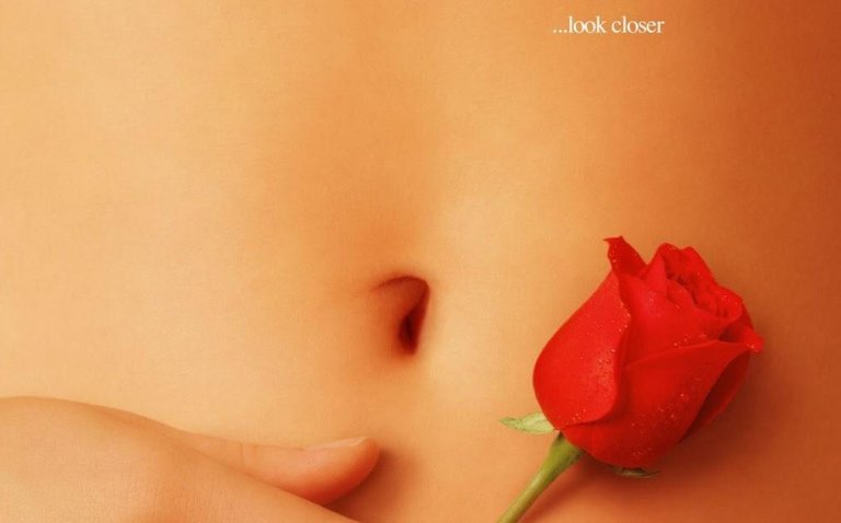 American Beauty - Appearances Can Be Deceiving