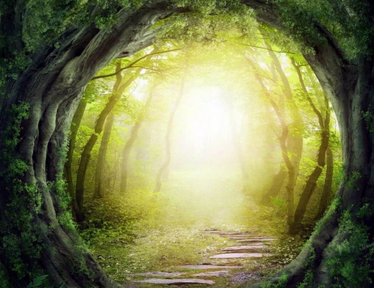 An illuminated path in the woods.