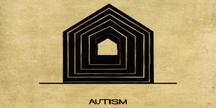 What Autism spectrum disorder would look like as a house.