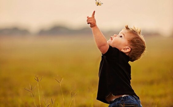 Boy touching butterfly
