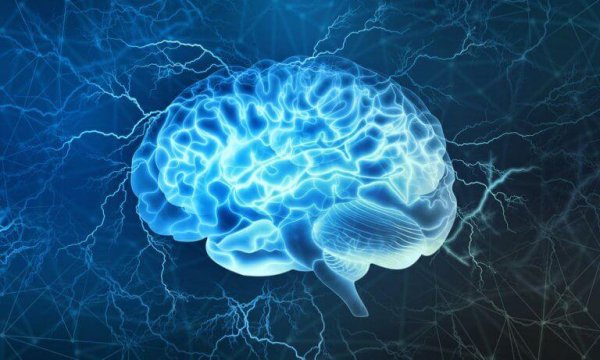 The brain lighting up.