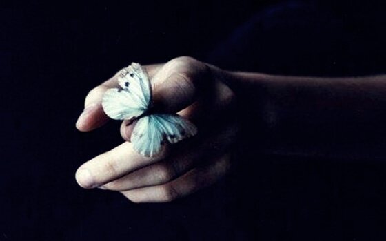 Butterfly on a hand