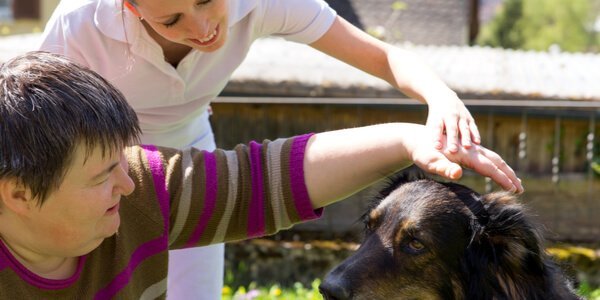 animal assisted therapy
