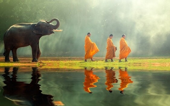 buddhist-monks-walking