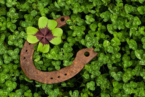 Does Superstition Improve Our Chances of Survival?