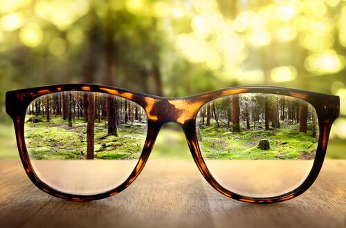 Perspective: glasses in a forest.