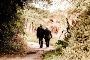 Collective Memory and Stories from Our Grandparents