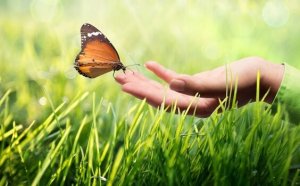 Kinesthetic Communication: Why Is It So Important?