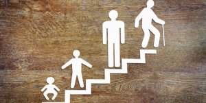 The 6 Most Important Theories on Development