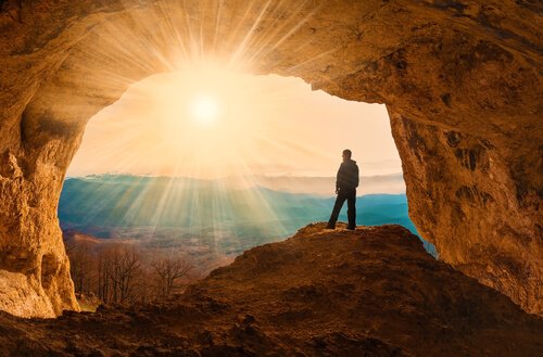 Are human beings rational beings or animals?