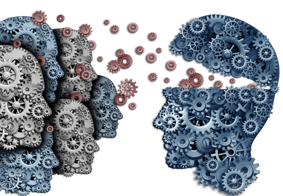 Cogs in the brains of people.