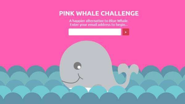 rosa hval vs blåhval