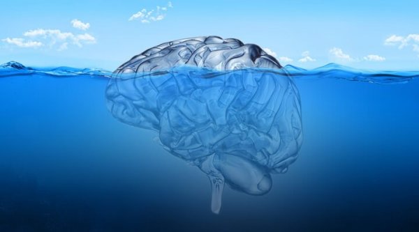 Submerged brain