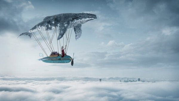 Micro stories, whale floating in the sky