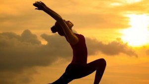 Seitai: the Culture of Harmony and Health