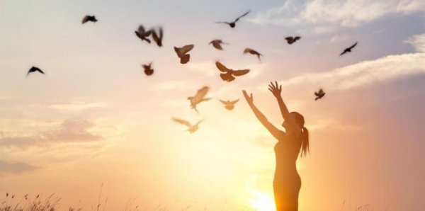 Freedom and birds with arms raised.