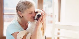 Benefits of Animal Assisted Therapy