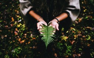 It Takes Peace and Patience to Find Meaning in Life