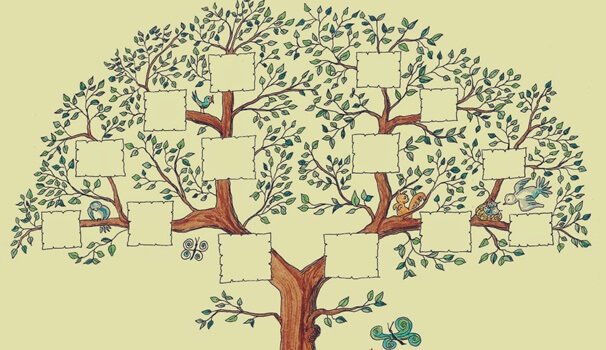 A blank drawing of a family tree.