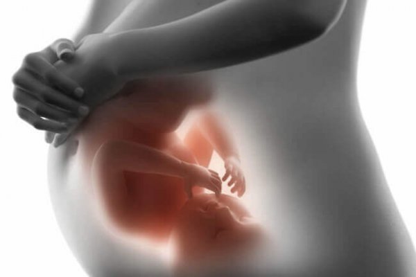A baby in the womb.