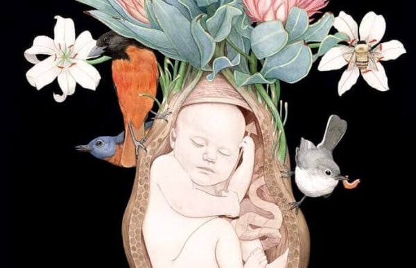 Prenatal Psychology: The Importance of Building a Healthy Bond with the Baby