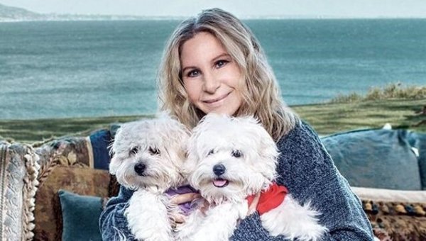 Barbara Streisand grieving a pet.