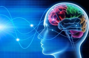 Brain waves.