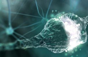 example of synaptic gap
