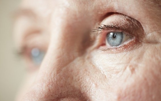 the eyes of a sad elder.