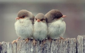 3 Types of Friendship, According to Aristotle