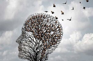 Heuristics, short cuts of the mind