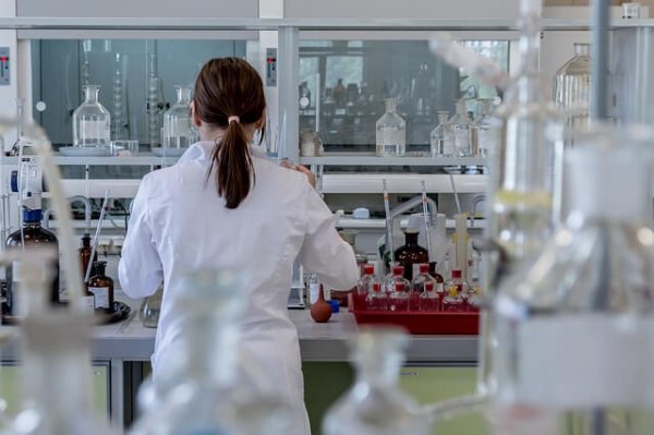 Scientific methods are used every day.