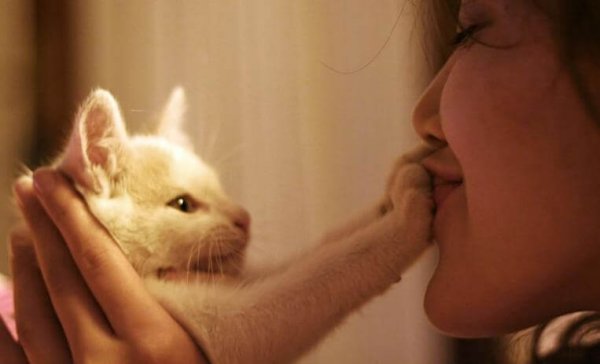 human-animal bond