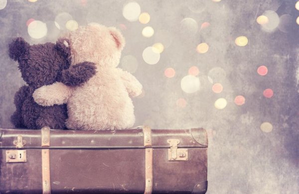 Two bears symbolizing friendship