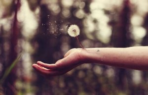 Healing the Wound of Betrayal