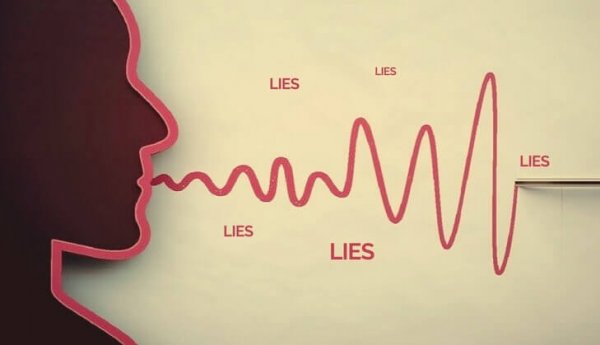 A liar's brain.