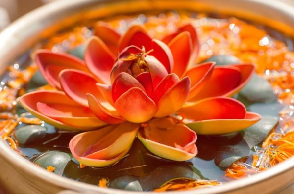 lotus flower symbolizing hindu proverbs